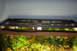 Aquarium- en vijver activiteiten bij Hugo Aqua