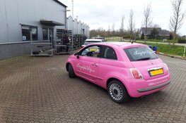 Grootste tuinplanten-drive-in van de regio!