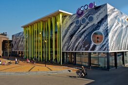 Cool genomineerd voor NHN Business Awards