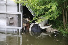 Vrachtwagen op zijn kant in de sloot langs Veenhuizerweg