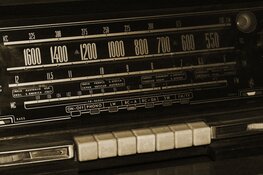 Programma Radio Elvira met special The Shavers