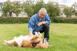 Een oppashond voor senioren: gezellig èn gezond