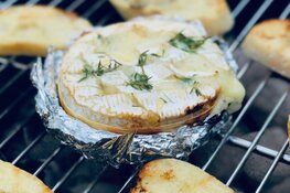 Vaderdag cadeau bij Zuivelhoeve Alkmaar!