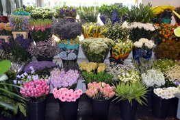 Kies voor een bloemenabonnement bij Bloembinderij Gebr. Jong, dé bloemist in Alkmaar en Heerhugowaard