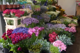 Kies voor een bloemenabonnement bij Bloembinderij Gebr. Jong, dé bloemist in Alkmaar en Heerhugowaard