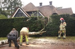Storm geluwd, tot jaarwisseling grijs met lichte regen