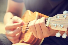 Waan je in zomerse sferen tijdens de cursus Ukelele bij Cool!
