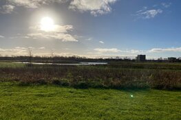 Begraven in de natuur