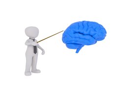 Column: De Wetenschap