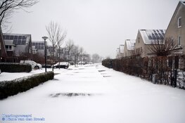 Winterse zondag in beeld