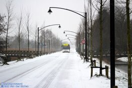 Winterse zondag in beeld