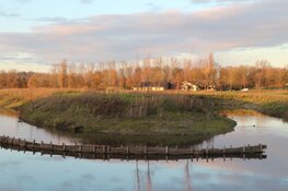 Luisterend over de natuurbegraafplaats