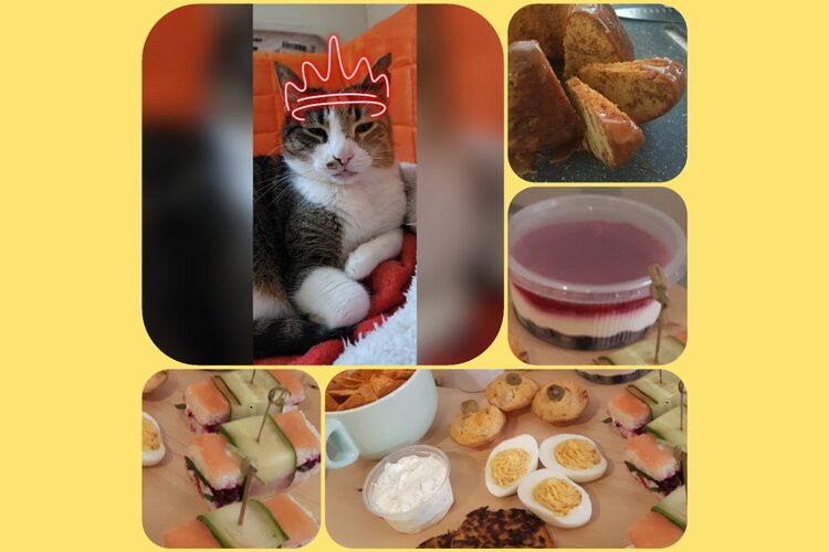 DigiBeet en Katten Café boxen voor Koningsdag