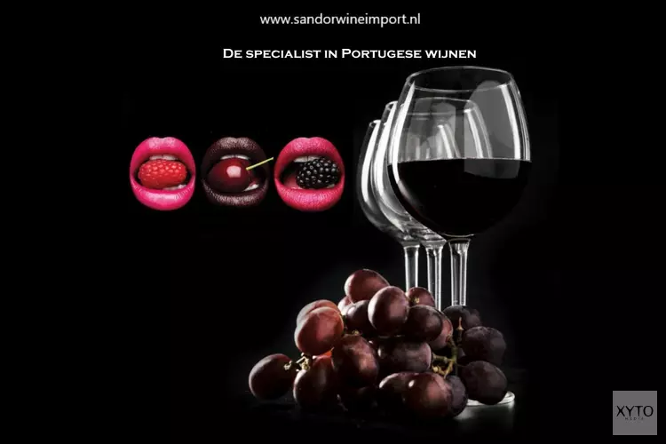 Sandor Wine Import Portugal