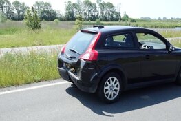 Kop-staart botsing door eenden familie