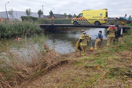 Hulpdiensten rukken massaal uit na melding kind te water.