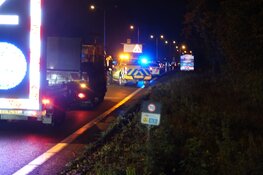 Kop-staartaanrijding door uitwijkmanoevre vanwege overstekend dier