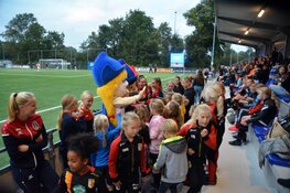 Strijdend VV Alkmaar nipt onderuit tegen Feyenoord