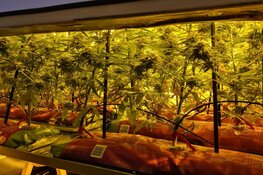 Henneptuinen in woningen ontmanteld