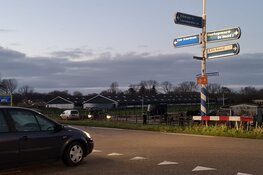 Paarden in beslag genomen na vondst dode pony