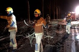 N242 bij Nieuwe Niedorp afgesloten: weg ligt vol bomen