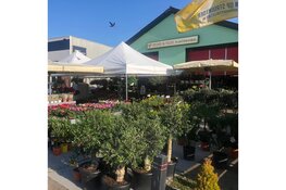 Gezellig groen bij de plantjesmarkt van Langedijk!