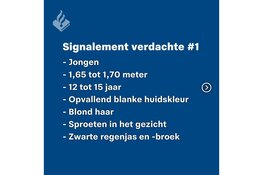 Politie zoekt getuigen van poging straatroof in Stadspark