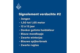 Politie zoekt getuigen van poging straatroof in Stadspark