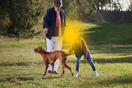 18 juni: Open dag Koninklijke Visio in Heerhugowaard