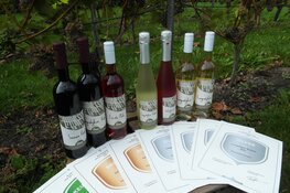 Prijzen voor de Wijndomein de Koen