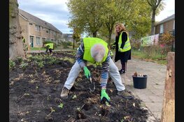 Icarushuis plantte ontmoetingsplaats voor de deur