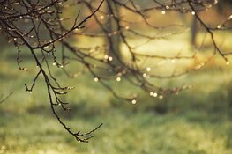 Winterse kou wordt verdreven door buien en zachte temperaturen. Kans op witte kerst nihil