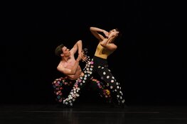 Holland Dance Festival toont veelzijdig danstalent bij Cool!