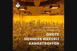 Zeer grote hennepkwekerij aangetroffen in Heerhugowaard