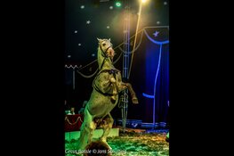 Circus Bossle komt naar Heerhugowaard