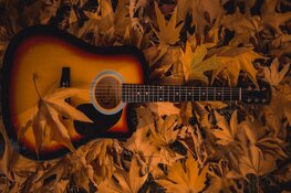 Cursussen voor kinderen & jongeren van start bij Cool!