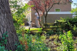 Gezin Bomenwijk voelt zich onveilig