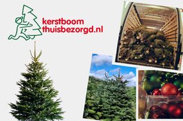 Kerstboom kopen in Heerhugowaard? Gratis Thuisbezorgd
