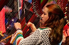 Meer dan zeshonderd bezoekers bij Cool’s Winter Wonder Walk