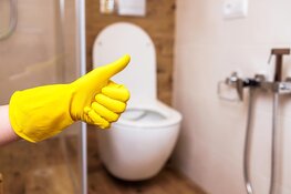 Last van rioolvliegjes? Zo jaag je ze uit je badkamer