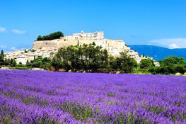 Geniet van de diverse schoonheid van de Provence