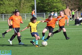 Louter winnaars bij geslaagd Schoolvoetbaltoernooi Dijk en Waard