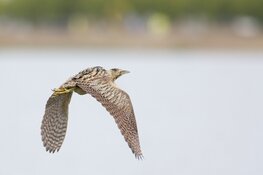 Wandeling Park van Luna: ga je mee?