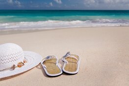 Zomerstijlen door de decennia heen: Een reis door de modegeschiedenis van slippers en sandalen