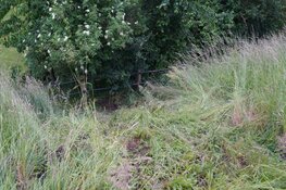 Twee auto's van de dijk in Heerhugowaard