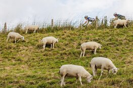 Genieten geblazen tijdens 13e editie Ronde van de Westfriese Omringdijk
