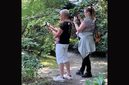 Smartphone fotografie in Uitgeest, Alkmaar, Zuiderzeemuseum en Broekerveiling
