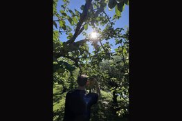 Smartphone fotografie in Uitgeest, Alkmaar, Zuiderzeemuseum en Broekerveiling