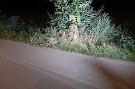 Auto vliegt uit de bocht op Korteweg in Heerhugowaard