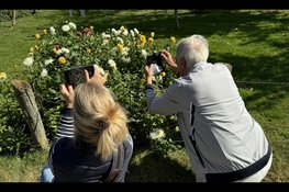 Smartphone fotografie in de nazomer